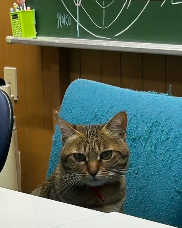 アニメ化と実写を見比べてください^_^